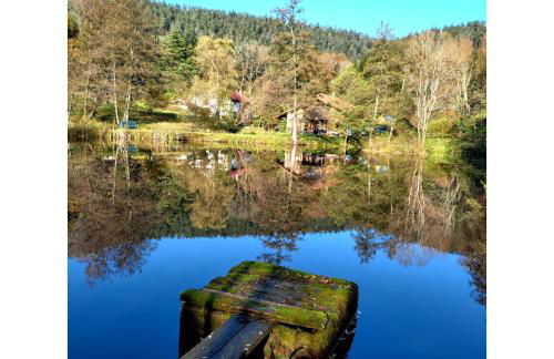La petite ferme - Foto 20