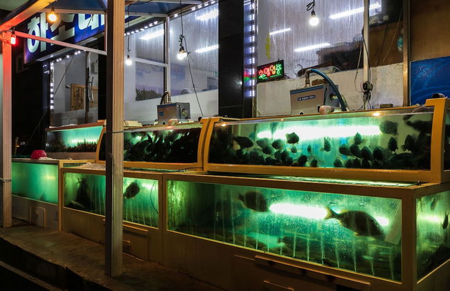 Elmar Condotel - Photo 55