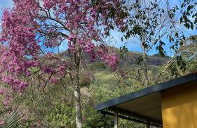 Buena Vista - Casa e suítes - Vistas deslumbrantes em Petrópolis - Foto 8