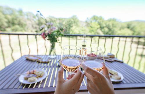 Domaine De Sigalous - Foto 47