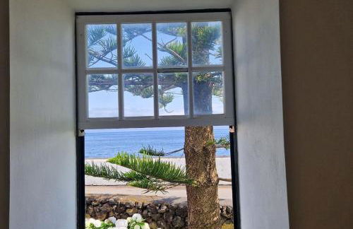 Terra`s Place - Photo 10