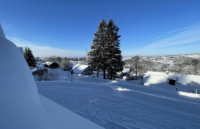 Benecko Lbs160 in Benecko - Photo 22