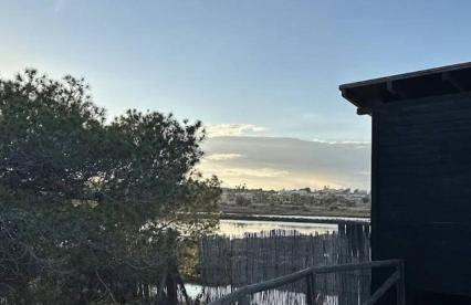 Playa del Pinet 2 - Photo 35