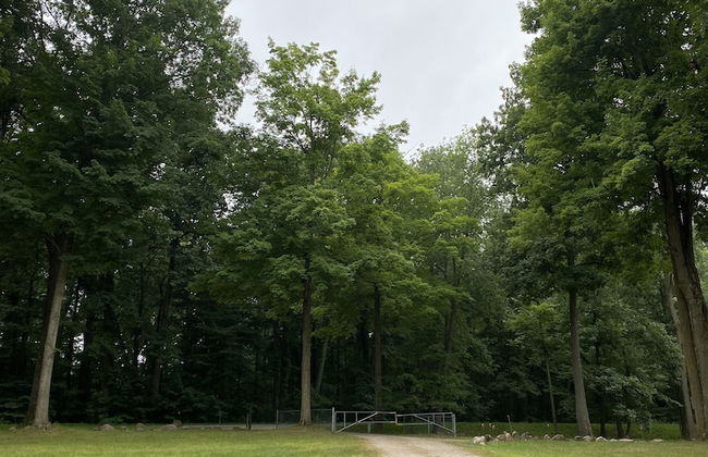 Kamp 42 Degrees Campground - Photo 9