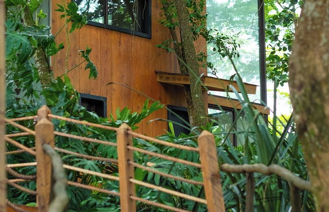 The Grand Forest Jarabacoa - Photo 77