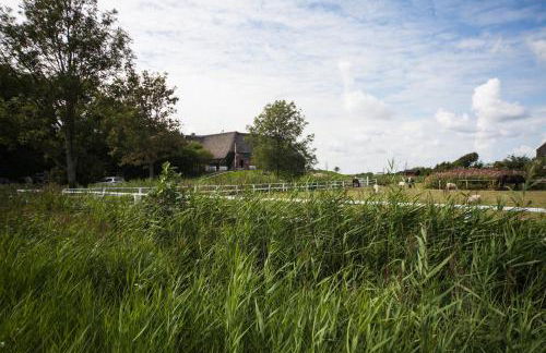 Der historische Silberhof von 1856 - Foto 64