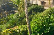 LE PALADIN Porto Pollo Villa privée avec piscine chauffée - Foto 15