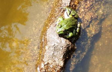 Re(s)source - Foto 10