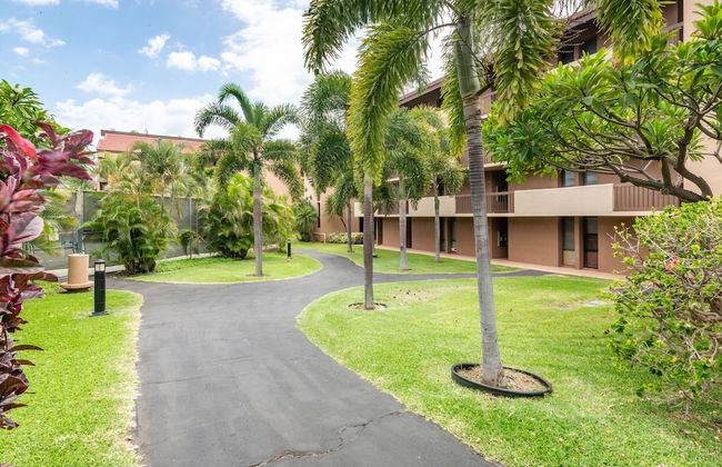 Awesome Maui Vista Beach Suite - Photo 30