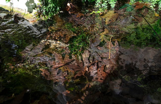 Glikanisos House Nipos - Ideal for Hikers and Families 2bd, 6pl, 10min to Beach - Foto 34