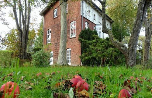 Ferienunterkünfte Wassermühle - Foto 2