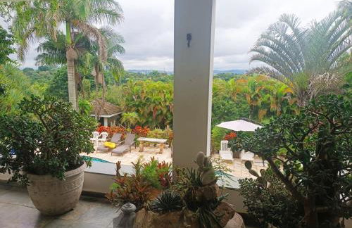 Refúgio dos pássaros - Foto 6