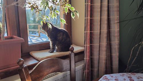 1Bed Apartment - Sleeps 4 - Terrace Pets Parking - Foto 3