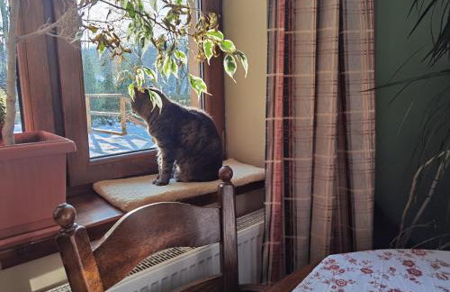 1Bed Apartment - Sleeps 4 - Terrace Pets Parking - Foto 3