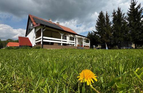 Siedlisko Stara Poczta Podlasie z jacuzzi, basenem i dużym ogrodem - Foto 50