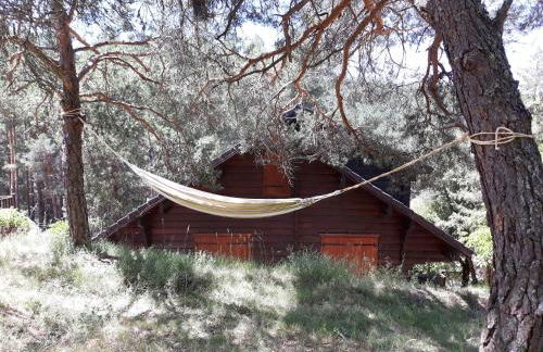 Cañon del río Lobos-La cabaña de Ton - Foto 18