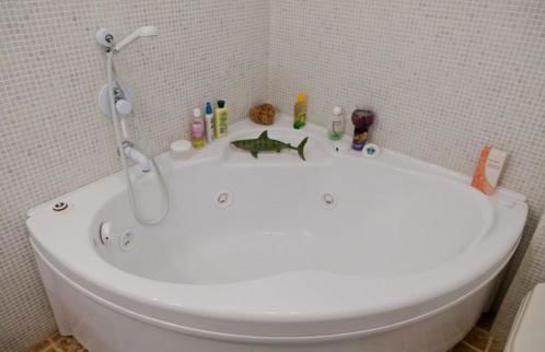 5 Terre Shuttle Villa Maremonti with Pool 8guests - Foto 32