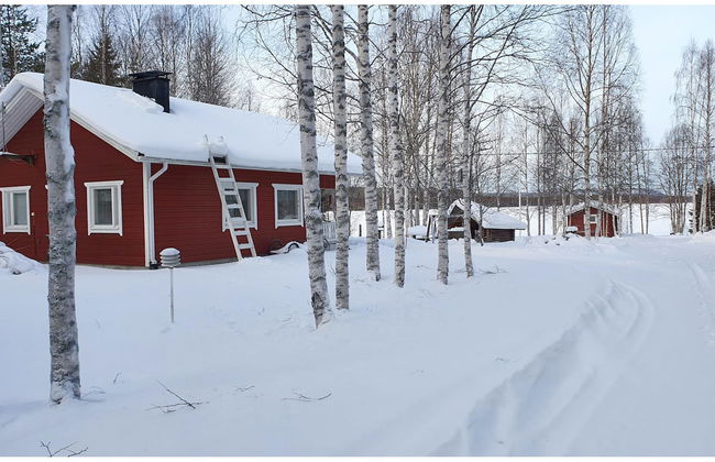 Koivulahden reinola - Foto 18