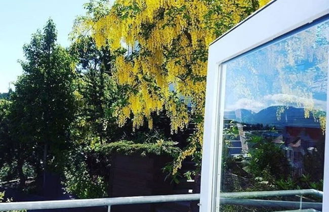 Akureyri Central Suite - Foto 11