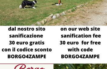 Borgo da Vinci - Foto 8