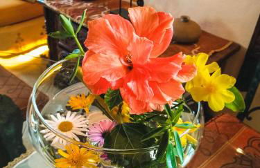 Apartment with Huge Deck Nestled in Marvelous Gardens - Nidos - Foto 16