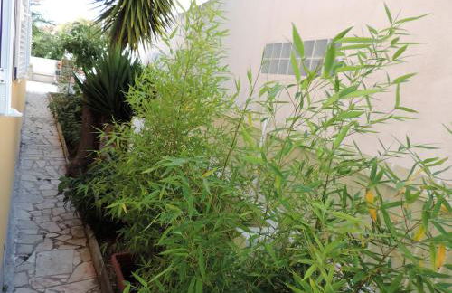 BLISS WHITE HOUSE - Foto 32