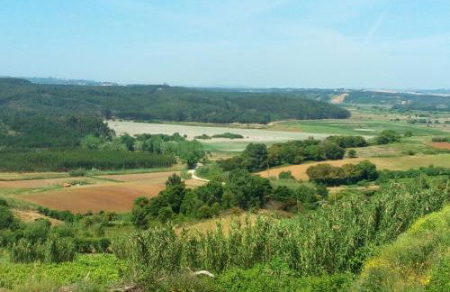 Pipo People House - Foto 48