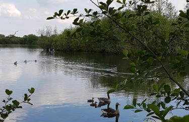 Tudor Cottage - Foto 29