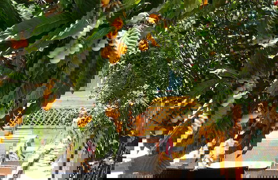 Kimi Résidence - Foto 52