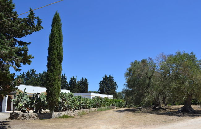 Torre Casciani - Foto 25