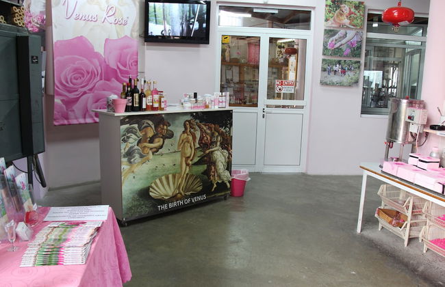 Tzionis Petroktisto Holiday Stonehouse - Photo 47