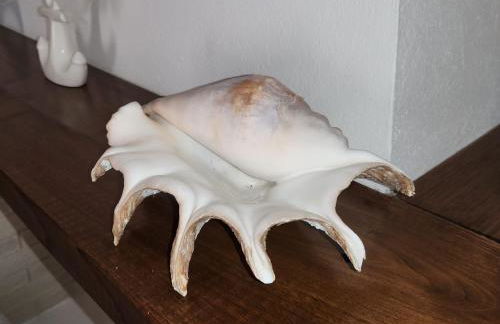 Casa MedeFaby - Foto 47