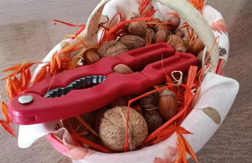 Gîte spacieux près du zoo de Beauval avec cour privative, terrasse, et équipements complets - FR-1-591-371 - Foto 26