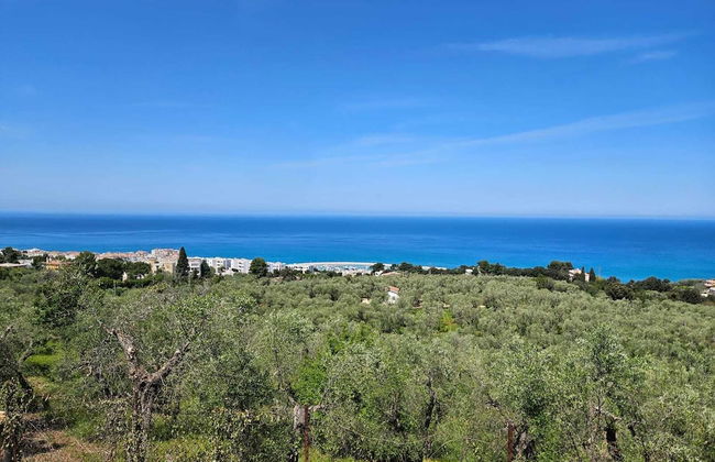 Joivy Dimore Rodiane - U Vucc'l - Foto 14