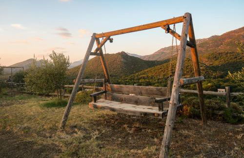 APICULTEUR - Foto 61