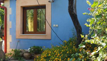 Medusa Gorgon - Photo 3