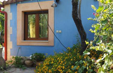 Medusa Gorgon - Photo 3