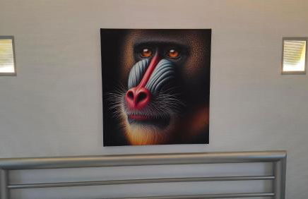 Ferienhaus Kamerun an der Elbe - Foto 48