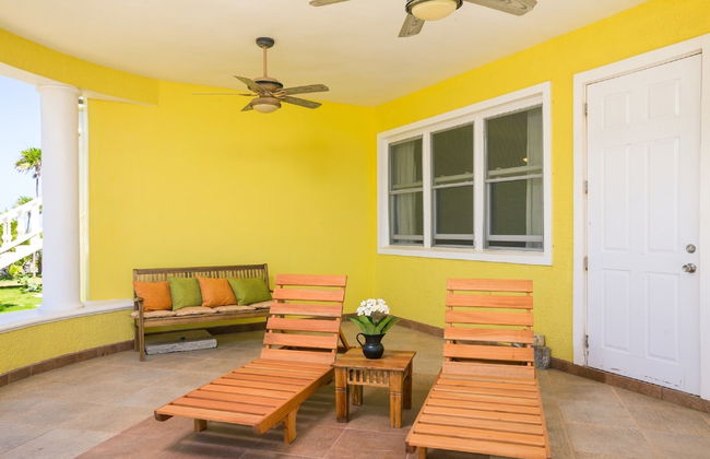 Yellow Bird - Foto 21