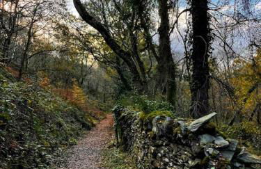 Poets Cottage Eglwys Fach - Foto 50