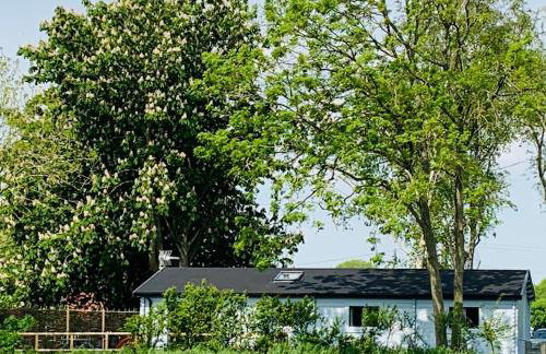 2 Bed in Stradbroke oc-wopl - Foto 18