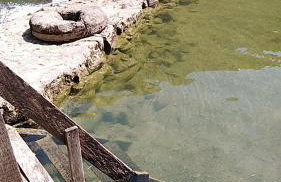 VILLA KORANA - Foto 51