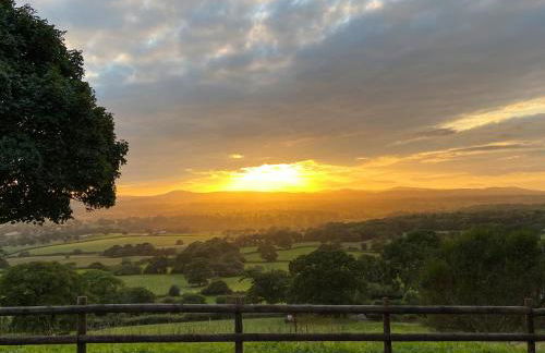 Beehive Cottage - Photo 30