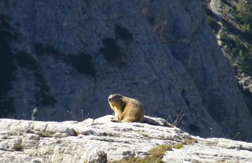 Appartements Burgerhof - Foto 52