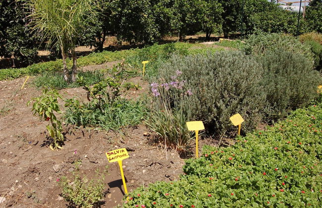 Il Giardino del sole - Foto 53