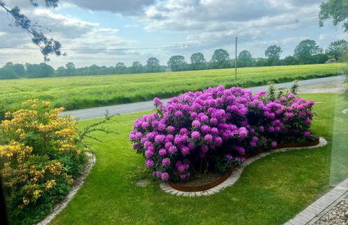 Dreckerhook, oasis to slow down! - Foto 33