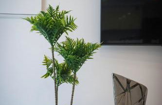 Apartamento Amanhecer - Photo 12