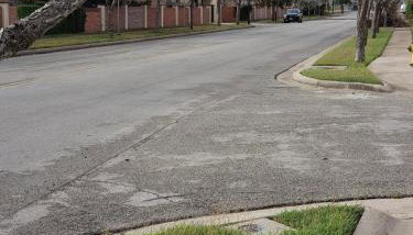 The Monarch - Foto 5