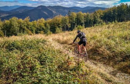 Górskie Siedlisko - 3 Chaty - Foto 60