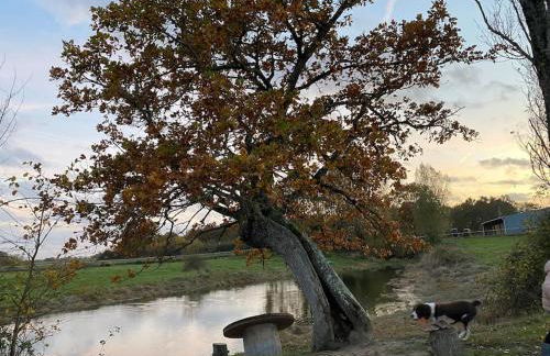 Villenouan domaine et gites - Photo 22